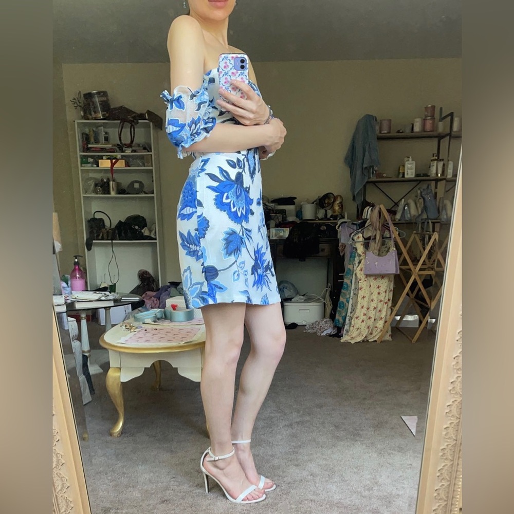 Mesh Floral Dress